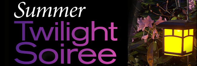 summer-twilight-soiree-banner.png