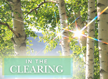 In the Clearing